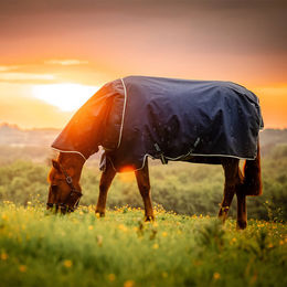 Horseware Amigo Ripstop 900D Plus Pferdedecke mit 200g Füllung – Bild 1 von 6