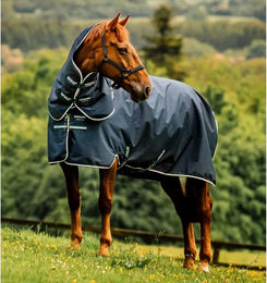Horseware Amigo Ripstop 900D Plus Pony Outdoor-Decke Blau 200g – Bild 1 von 11