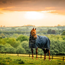 Produktbild von Horseware Amigo Ripstop 900D Plus Pony Outdoordecke 0g