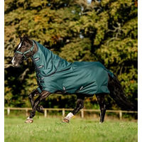 Produktbild von Horseware Amigo Ripstop 900D Plus Turnout 200g Pferdedecke Dynasty Green/Navy & Silver Größe 130 cm / 6´0