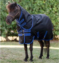 Produktbild von Horseware Amigo Ripstop 900D Plus Turnout Outdoor-Decke für Ponys in Schwarz