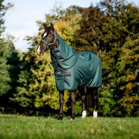 Produktbild von Horseware Amigo Ripstop 900D Plus Turnout Pferdedecke Dynasty Green/Navy & Silver 160 cm