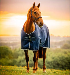 Horseware Amigo Ripstop 900D Pony Outdoor-Decke Blau 0g – Bild 1 von 8