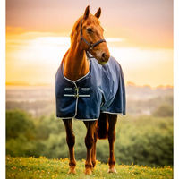 Produktbild von Horseware Amigo Ripstop 900D Pony Outdoor-Decke Blau