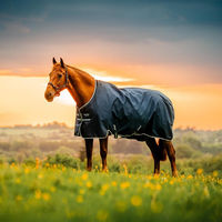 Produktbild von Horseware Amigo Ripstop 900D Pony Outdoordecke mit 200g Füllung