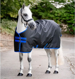 Horseware Amigo Ripstop 900D Pony Turnout Weidedecke 100g Dynasty Green/Navy & Silver 125 cm – Bild 1 von 3