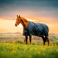 Produktbild von Horseware Amigo Ripstop 900D Pony Turnout Weidedecke für Ponys in Größe 95 Witney Navy