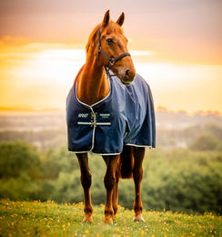 Horseware Amigo Ripstop 900D Turnout Light Pony Outdoordecke Blau 0g – Bild 1 von 9