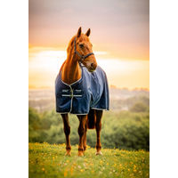 Produktbild von Horseware Amigo Ripstop 900D Turnout Pferdedecke Blau 200g Medium