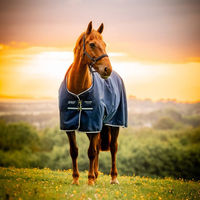 Produktbild von Horseware Amigo Ripstop 900D Turnout Pferdedecke mit 200g Füllung Dynasty Green/Navy & Silver 145 cm