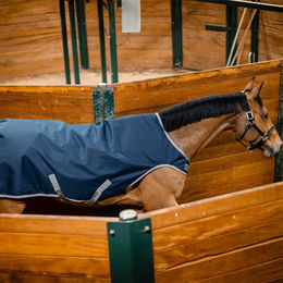 Horseware Amigo Ripstop 900D Walker Pferdetransportdecke aus Polyester Größe S – Bild 1 von 2