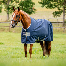Horseware Amigo Ripstop 900D Weidedecke für Pferde mit 50g Füllung 155 cm – Bild 1 von 13
