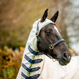 Horseware Amigo Ripstop Fliegendecke mit Kapuze für Pferde aus Polyester – Bild 1 von 8