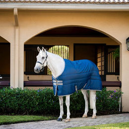 Horseware Amigo Ripstop Insulator Stall Decke für Pferde 350g Dynasty Green/Navy & Silver – Bild 1 von 12