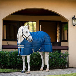Produktbild von Horseware Amigo Ripstop Insulator Stalldecke für Pferde mit 350g Füllung