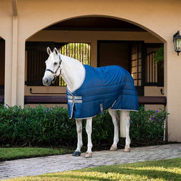 Produktbild von Horseware Amigo Ripstop Insulator Stalldecke für Pferde mit 50g Füllung