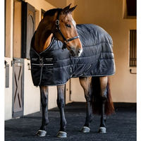 Produktbild von Horseware Amigo Ripstop Plus Stallpferdedecke mit 200g Füllung Schwarz 145 cm