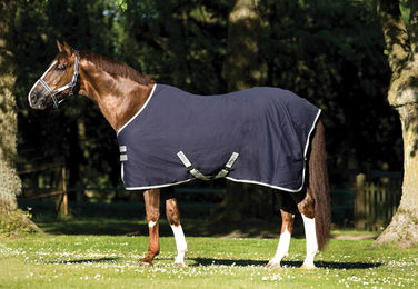 Produktbild von Horseware Amigo Stable Sheet Pferdedecke aus Polyester in Blau