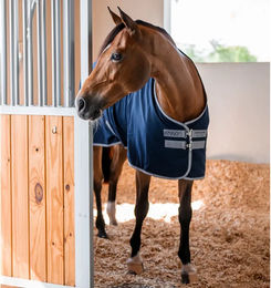 Horseware Amigo Stalldecke für Pferde aus Polyester in Blau 155 cm – Bild 1 von 10