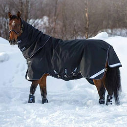 Horseware Amigo Super Bravo Plus Pferdedecke Medium Schwarz - 250 g – Bild 1 von 2