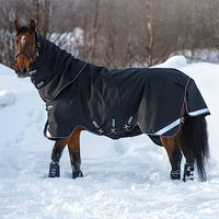 Produktbild von Horseware Amigo Super Bravo Plus Pferdedecke Medium Schwarz - 250 g