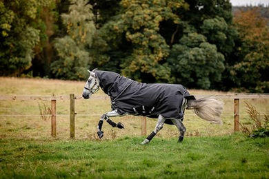 Produktbild von Horseware Amigo Super Bravo Plus Pferdedecke Schwarz Größe M - 250 g