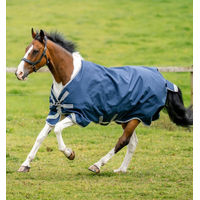 Produktbild von Horseware Amigo Turnout Lite 0g Weidedecke für Pferde Blau XL