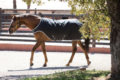 Horseware Amigo Walker Pferdedecke aus Polyester in Schwarz-Silber Größe M - 200 g – Bild 1 von 4