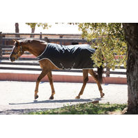 Produktbild von Horseware Amigo Walker Pferdedecke Medium Schwarz Silber - 200 g
