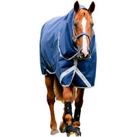 Produktbild von Horseware Amigo Wasserdichte Pferde-Außendecke mit Halsschutz Blau Medium