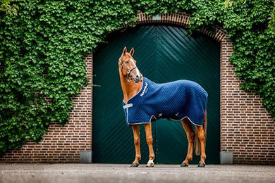Horseware Autumn Cooler Pferdedecke Navy/Navy – Bild 1 von 1