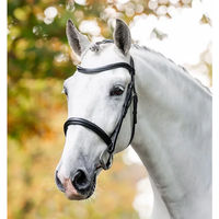 Produktbild von Horseware Cavesson Leder-Zaumzeug für Vollblut in Schwarz