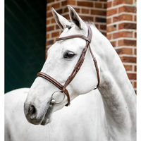 Produktbild von Horseware Cavesson Lederzaumzeug für Warmblut in Braun