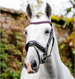 Horseware Diamante Flash Leder Zaumzeug für Vollblut in Schwarz oder Rosa – Bild 1 von 2
