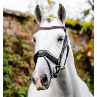 Produktbild von Horseware Diamante Flash Leder Zaumzeug für Vollblut in Schwarz oder Rosa
