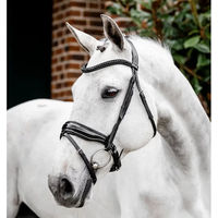 Produktbild von Horseware Diamante Flash Leder Zaumzeug Schwarz für Warmblut