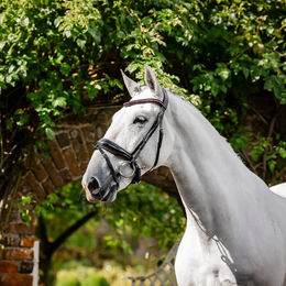 Produktbild von Horseware Diamante Flash Trense aus Leder in Schwarz mit Silber für Warmblut