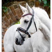 Produktbild von Horseware Diamante Leder Zaumzeug für Ponys in Schwarz
