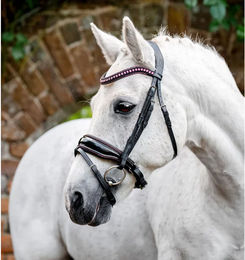 Produktbild von Horseware Diamante Zaumzeug aus Leder für Ponys in Schwarz