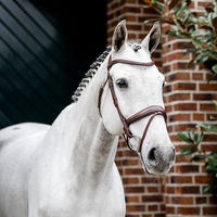 Produktbild von Horseware Dressage Flash Trense aus Leder für Warmblut