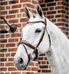 Horseware Dressage Flash Trense aus Leder in Braun für Warmblut – Bild 1 von 2