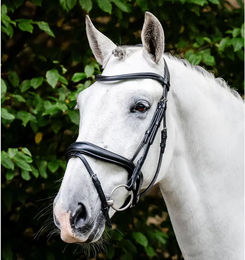 Produktbild von Horseware Dressage Flash Zaumzeug aus Leder in Schwarz für Vollblut