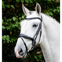Produktbild von Horseware Dressage Flash Zaumzeug aus Leder in Schwarz für Vollblut
