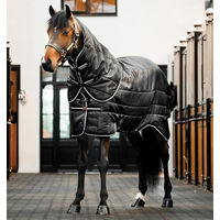 Produktbild von Horseware Easy-Layer Stable Plus Pferdedecke aus Polyester Schwarz - 400 g