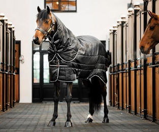 Horseware Easy-Layer Stable Plus Pony-Stalldecke mit Halsschutz Schwarz 200g - 200 g – Bild 1 von 2