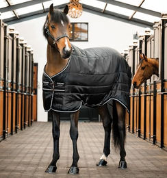 Horseware Easy-Layer Stalldecke für Pferde Schwarz Silber 145 cm - 100 g – Bild 1 von 9