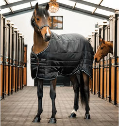 Horseware Easy-Layer Stalldecke für Ponys Schwarz – Bild 1 von 6