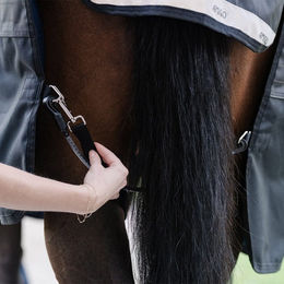 Horseware Elastische Beinschlaufen für Pferdedecken Schwarz – Bild 1 von 5