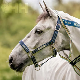 Produktbild von Horseware Field Safe Pferdehalfter aus Nylon in Blau für Vollblut