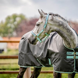 Horseware FieldSafe Nylonhalfter für Pferde Blau Vollblut – Bild 1 von 11